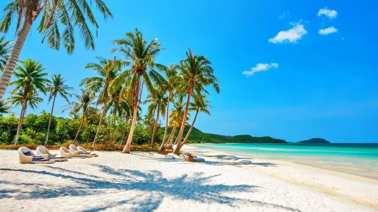 Rajska plaża z palmami i leżakami, idealne miejsce, gdzie na wakacje w październiku.