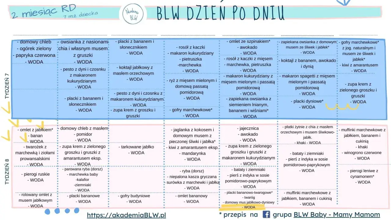 BLW co to? Tygodnie 7 i 8: propozycje posiłków dla niemowląt, np. omlet z jabłkiem, zupa krem z groszku, placki bananowe.