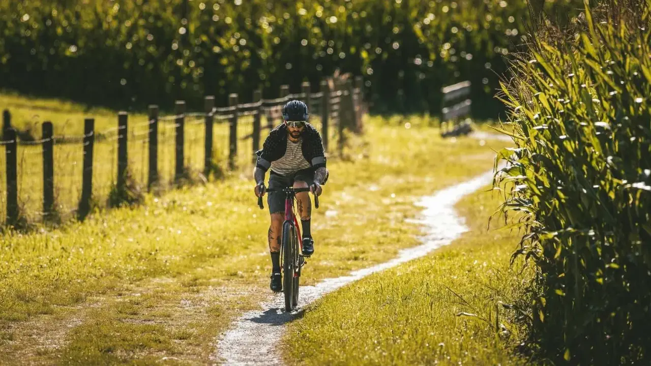 Ein Mann fährt mit seinem Rennrad auf einem Feldweg im Schwarzwald, umgeben von Maisfeldern und Sonnenschein.