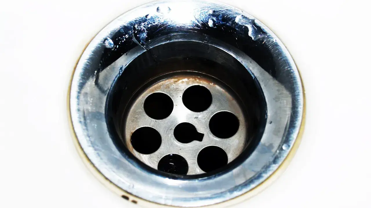 Gouttes d'eau stagnent dans un évier bouché mais pas de bouchon visible. Le métal du siphon est sale et usé.