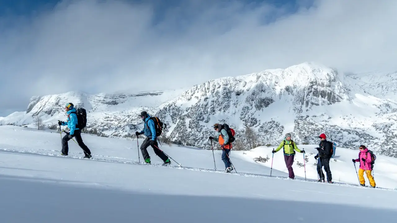 Grupa ludzi na skitouringu wspina się po ośnieżonych zboczach gór. To właśnie skitouring co to za aktywność!