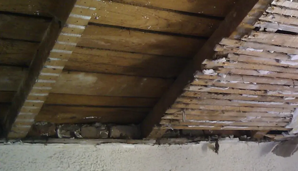 Vue intérieure d'une charpente en bois, montrant des lattes et des planches, avec des traces de plâtre. Un pare-pluie par l'intérieur semble avoir été appliqué.