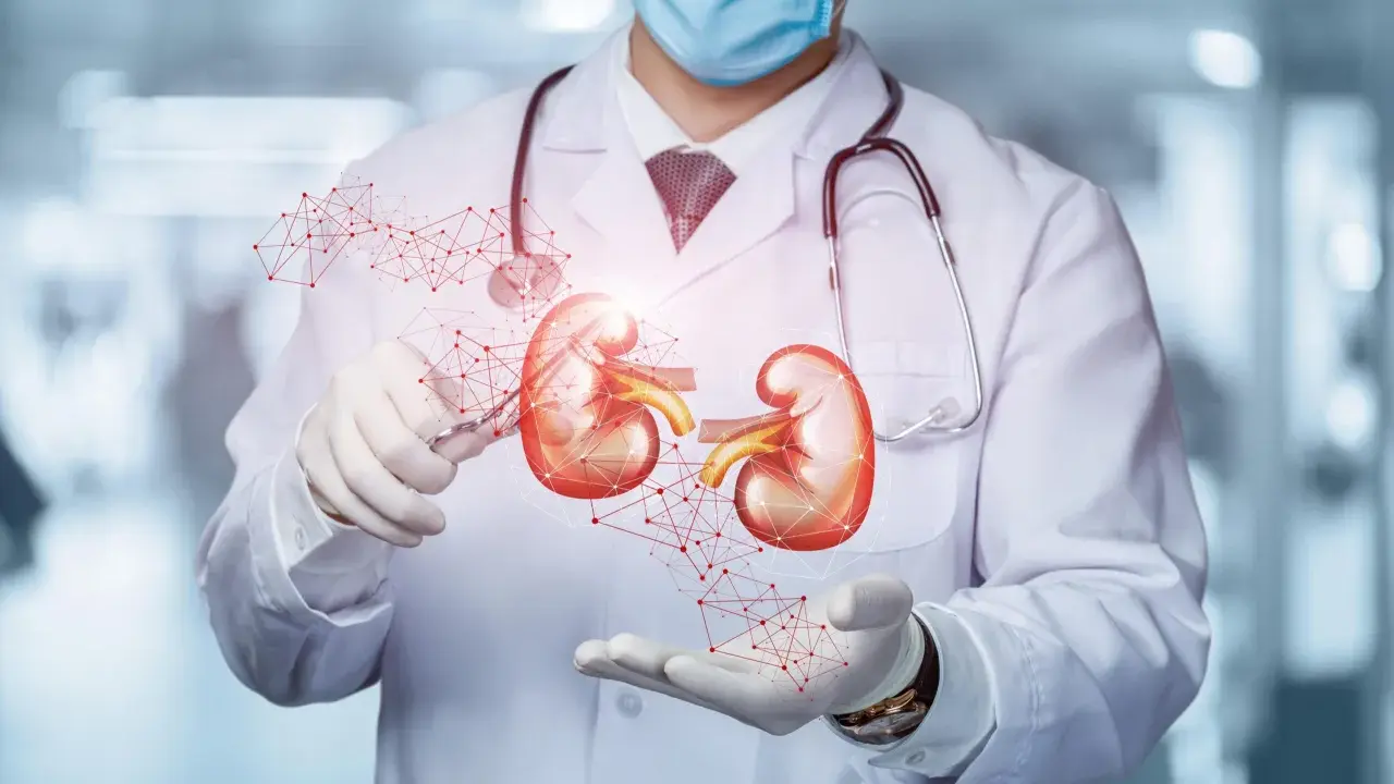 Lekarz w masce i rękawiczkach prezentuje model nerek, sugerując diagnostykę problemów, takich jak krew w moczu co oznacza.