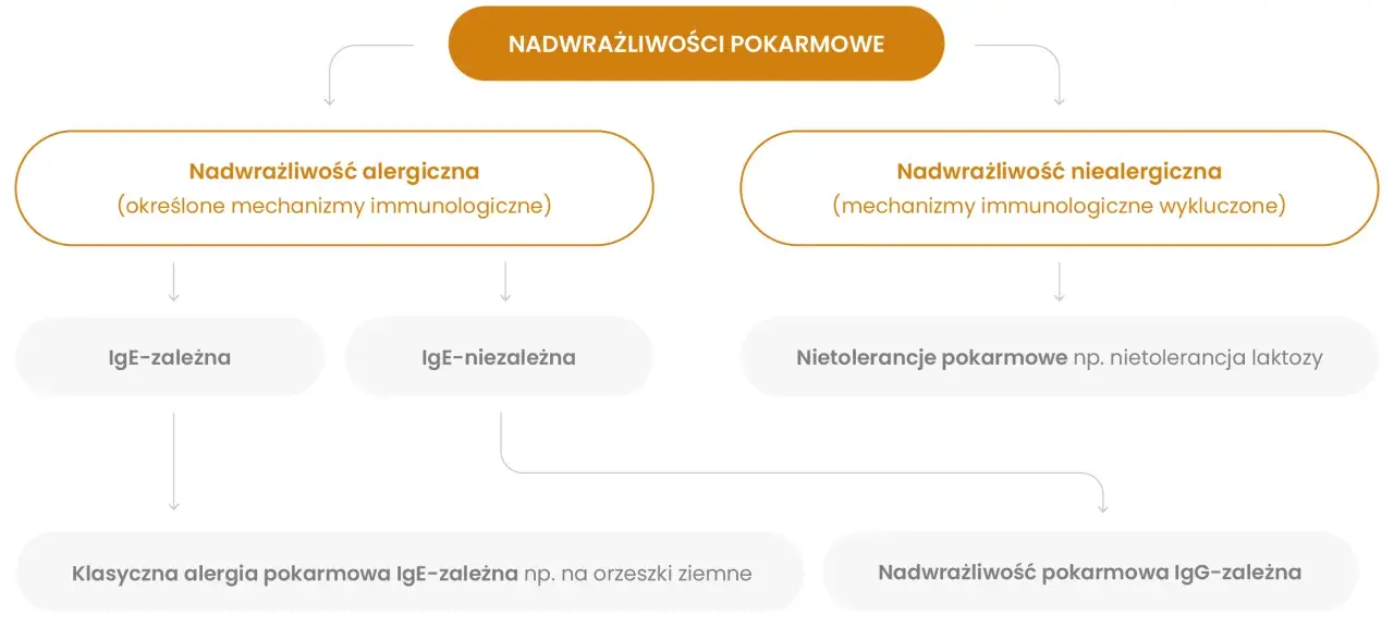 Schemat rozróżnia nadwrażliwość pokarmową: alergiczną (IgE-zależną i niezależną) oraz niealergiczną.