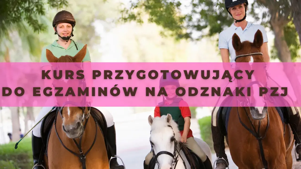 Odznaka Jeżdżę Konno PZJ: Zdać egzamin? Mój poradnik.