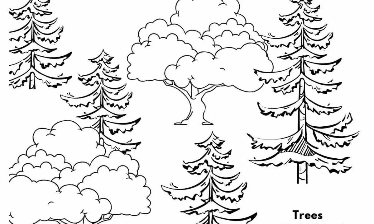 Black and white line drawing of various trees, including pine trees and deciduous trees, suitable for coloring.