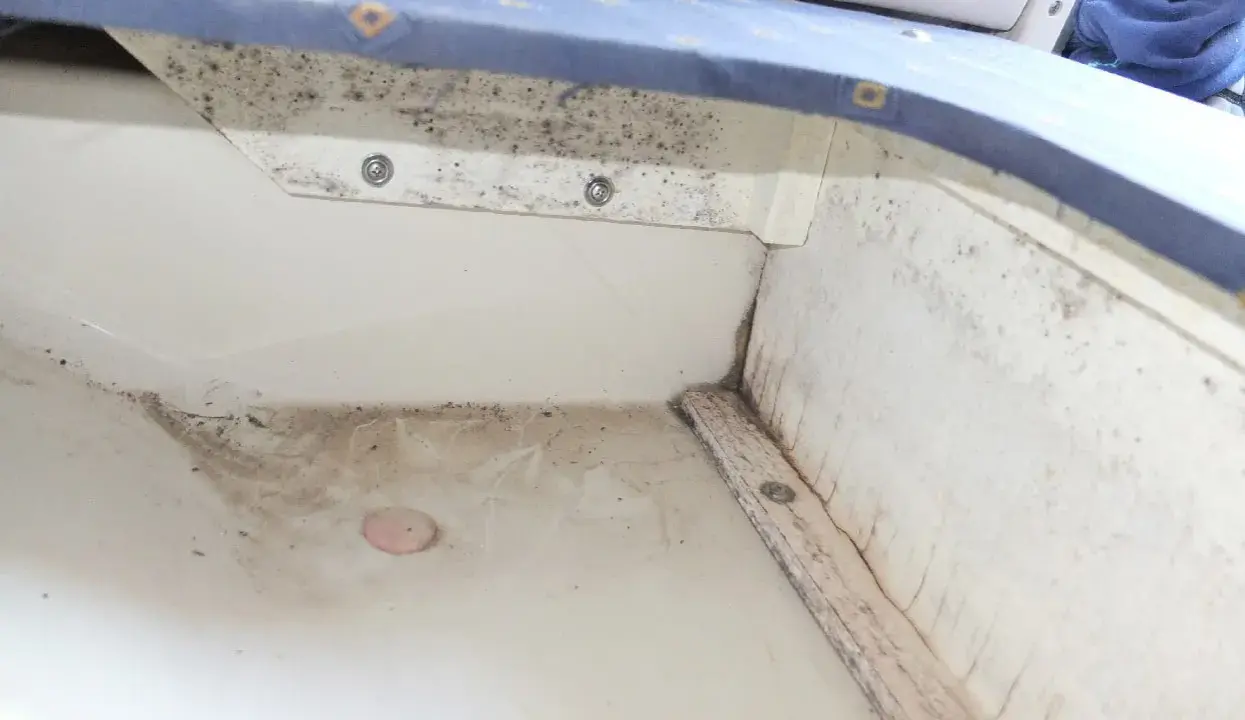 Le fond de cale d'un bateau, sale et moisi, avec des traces d'humidité et de débris.