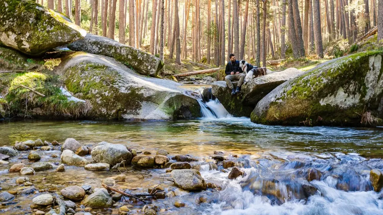 Hombre y perro descansan junto a un arroyo en el bosque. El agua fluye sobre rocas, creando un efecto de boca del asno baño natural.