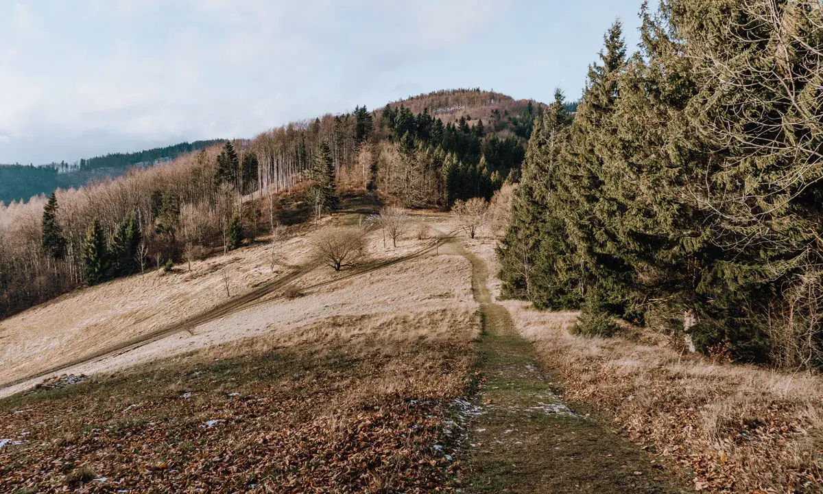 Ścieżka wije się przez trawiaste zbocze w Beskidzie Morawskim, otoczona drzewami.