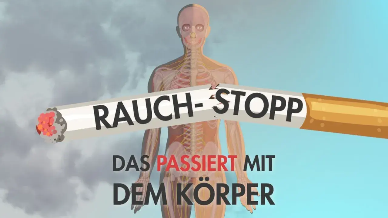 Rauch-Stopp: Ein zerbrochenes Zigarettenstück mit der Aufschrift "Rauch-Stopp" liegt vor einer transparenten menschlichen Anatomie. Darunter steht "Das passiert mit dem Körper".