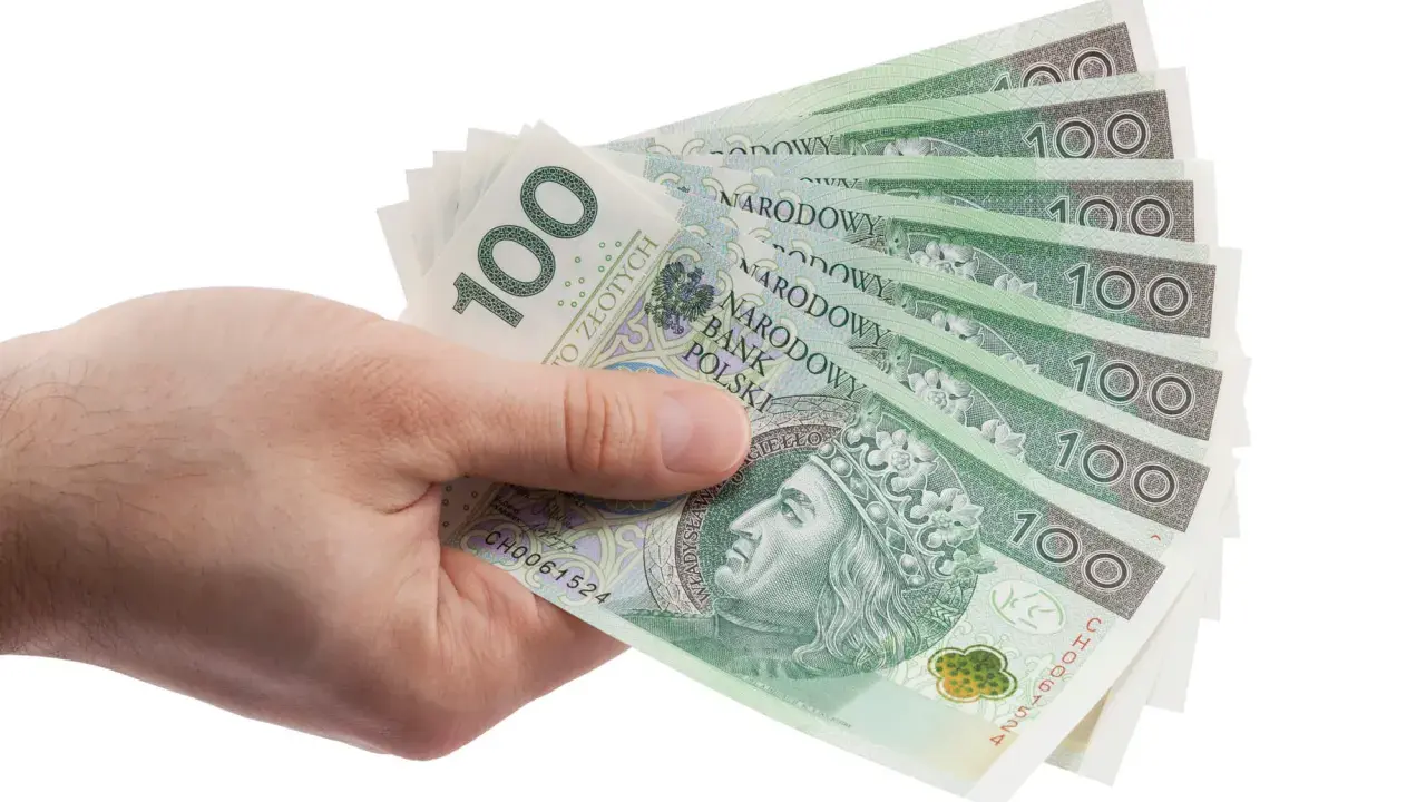Dłoń trzyma kilka banknotów 100 zł. Może to symbolizować pieniądze potrzebne na zachowek od darowizny.
