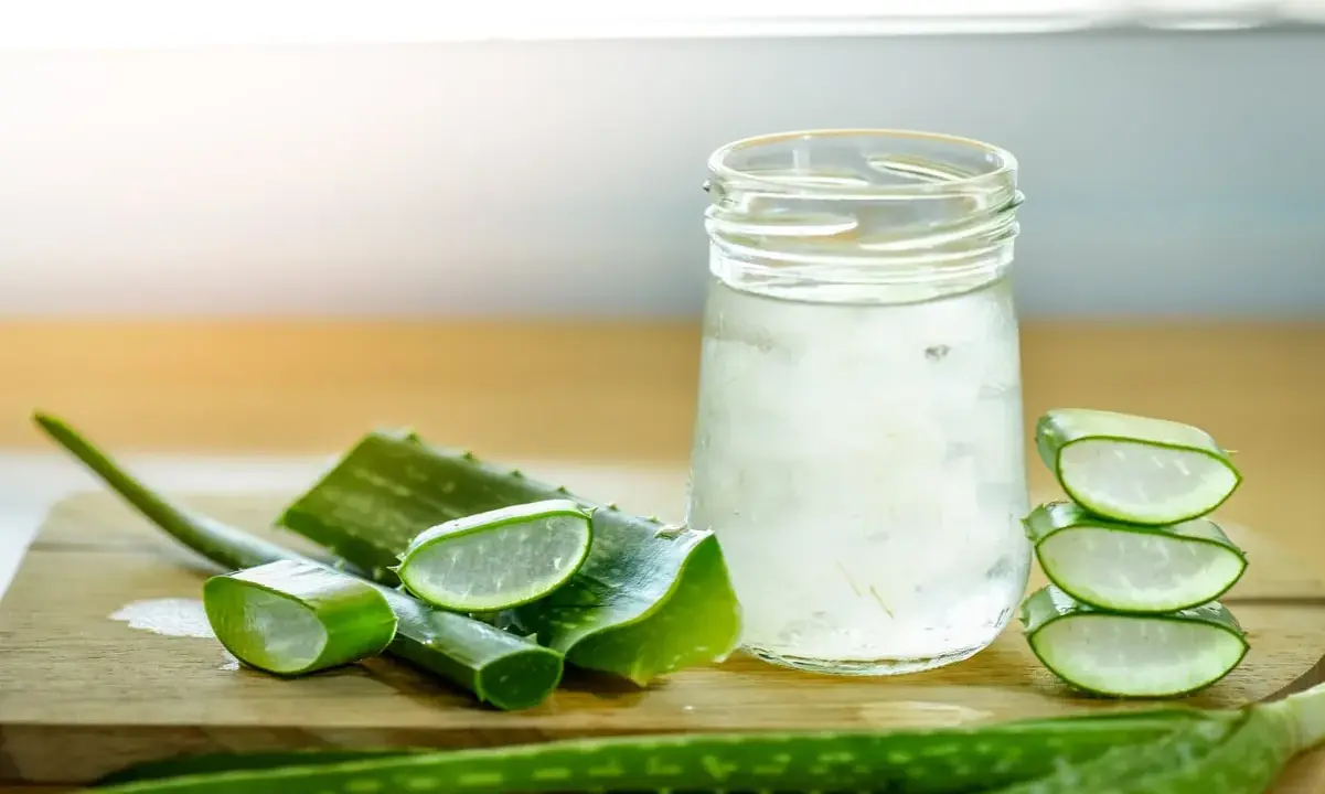 Tranches d'aloe vera et un verre rempli de sa pulpe translucide, évoquant les nombreux aloe vera bienfaits pour la santé et la peau.