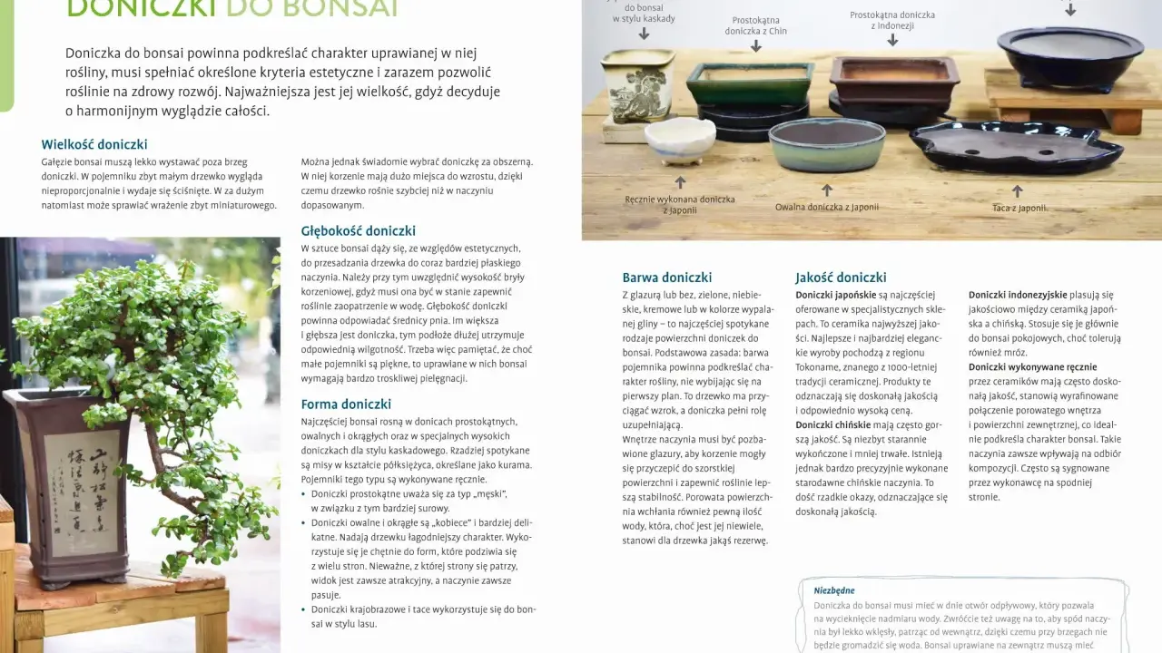 Bonsai ogrodowe w Polsce: Mrozoodporne gatunki i sekrety pielęgnacji