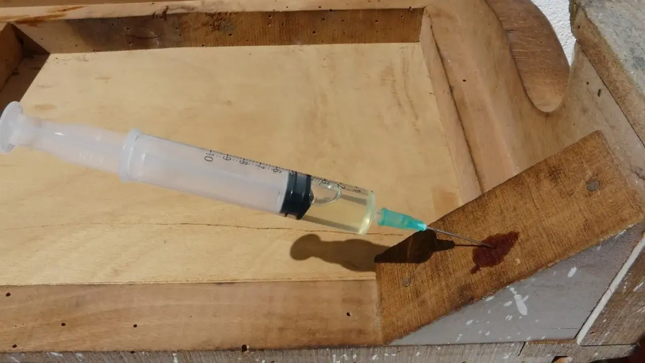 Jeringa inyectando líquido para eliminar carcoma en madera vieja.