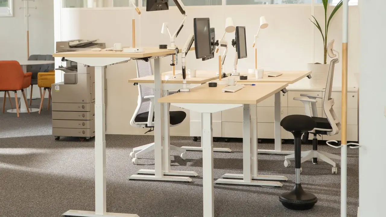 Postes de travail réglables en hauteur, favorisant l'ergonomie de bureau. Des écrans, lampes et chaises de bureau modernes sont disposés sur des bureaux en bois clair.