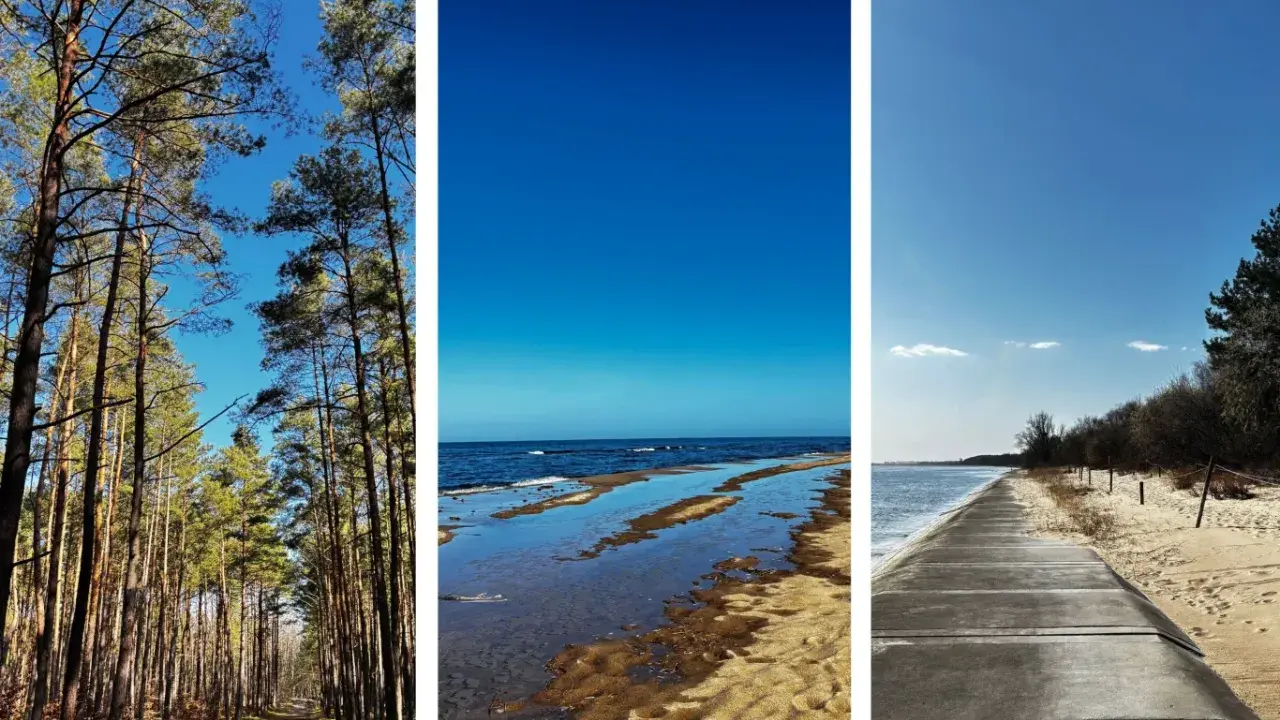 Wyspa Sobieszewska atrakcje: leśna ścieżka, plaża z wodą odbijającą niebo i betonowa promenada nad morzem.