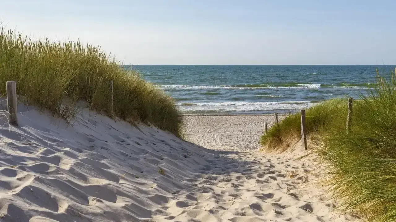 Piaskowa ścieżka prowadzi na plażę. Kiedy najlepiej jechać nad morze po jod? Wiosna i jesień to idealne pory roku.