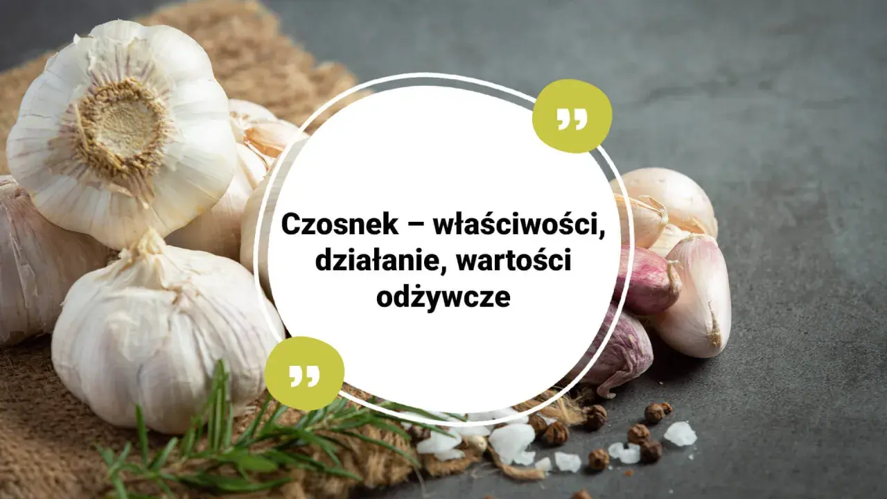 Główki czosnku na tle jutowego worka i ciemnego blatu. Tekst: "Czosnek – właściwości, działanie, wartości odżywcze". Czy czosnek jest zdrowy? Tak, to naturalny lek!