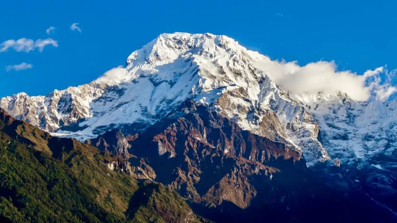 Majestatyczny szczyt w Himalajach 8091 m, pokryty śniegiem, góruje nad zielonymi zboczami.