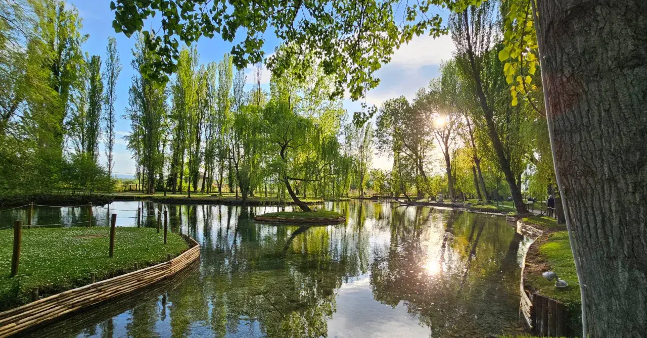 Un'isola verde con un salice piangente al centro, riflessa in un lago tranquillo. Un angolo di pace in Umbria, tra curiosità sull'acqua e natura rigogliosa.
