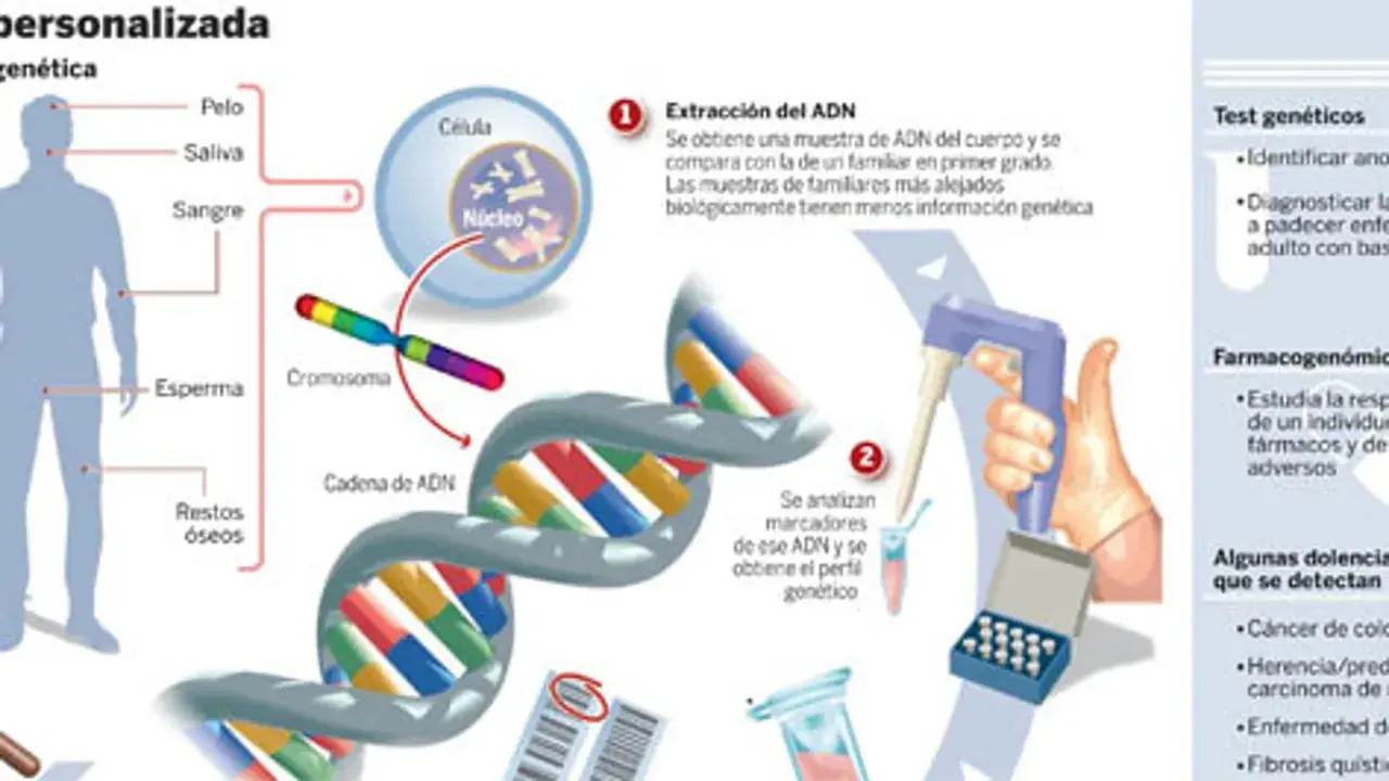 Ilustración explica qué es la genética: extracción de ADN de muestras biológicas, análisis de cromosomas y cadenas de ADN para perfiles genéticos y pruebas.