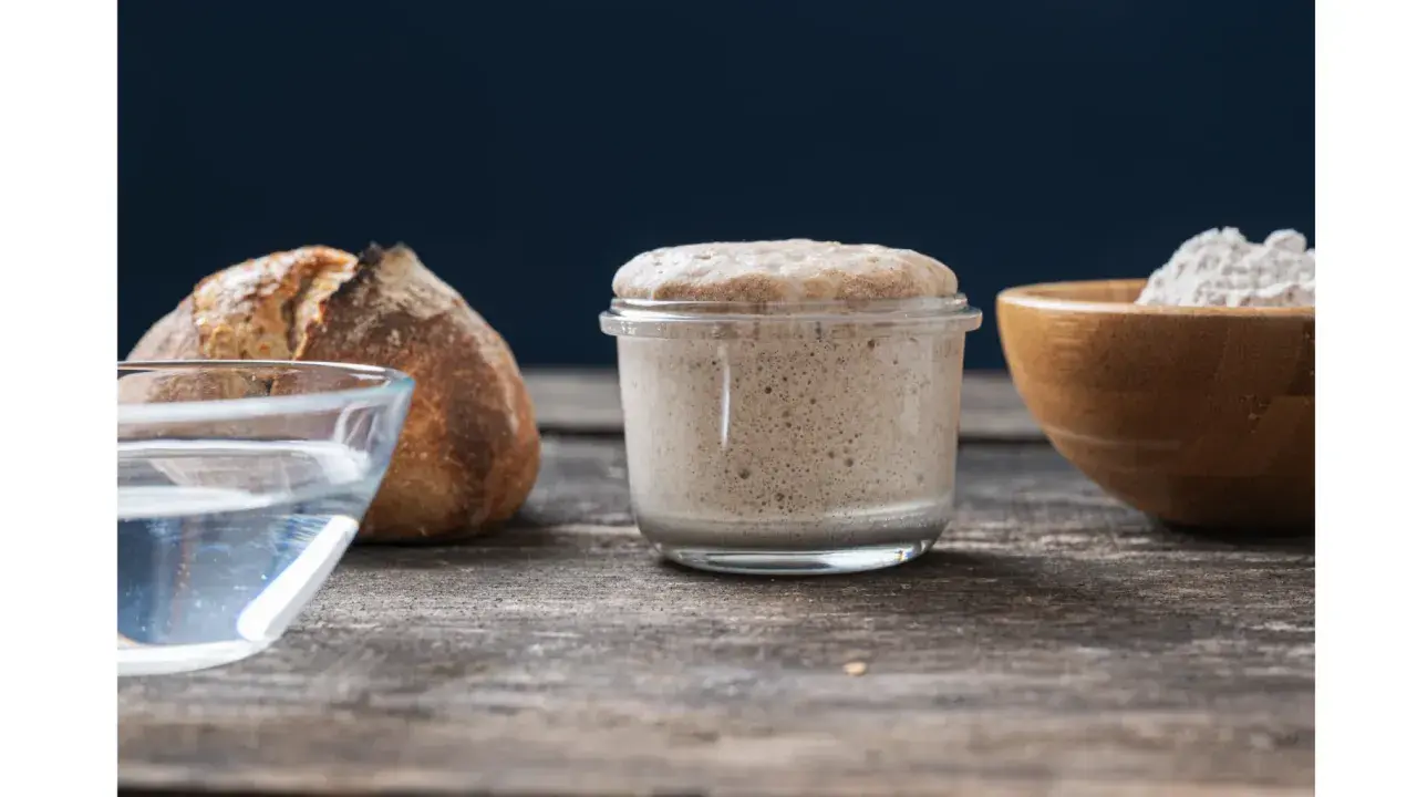 Un bocal de levain actif, du pain, de l'eau et de la farine illustrent la différence entre levain et levure.