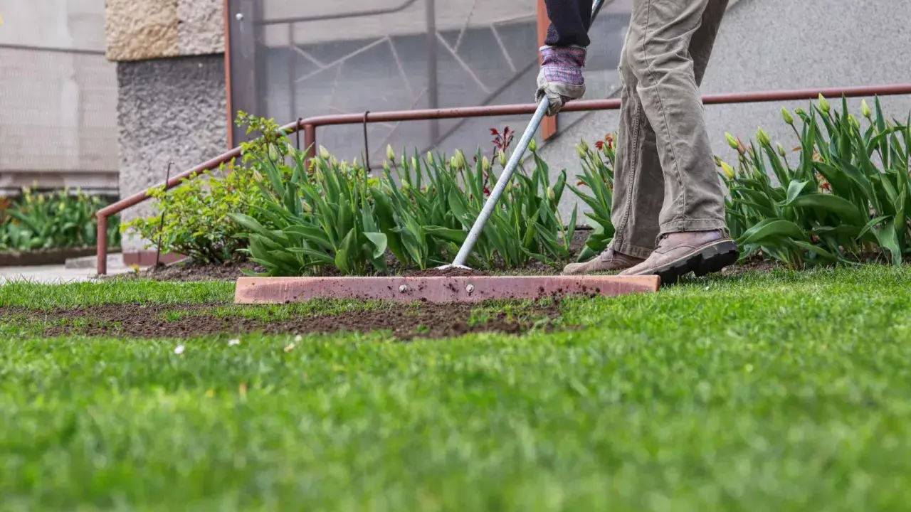 A person rakes soil to fix a bumpy lawn, preparing the ground for new grass.