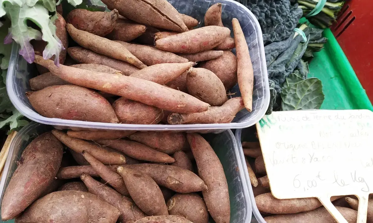 Poires de terre du jardin, une culture locale. Ces patates douces, d'origine Baleni, sont vendues au kilogramme.