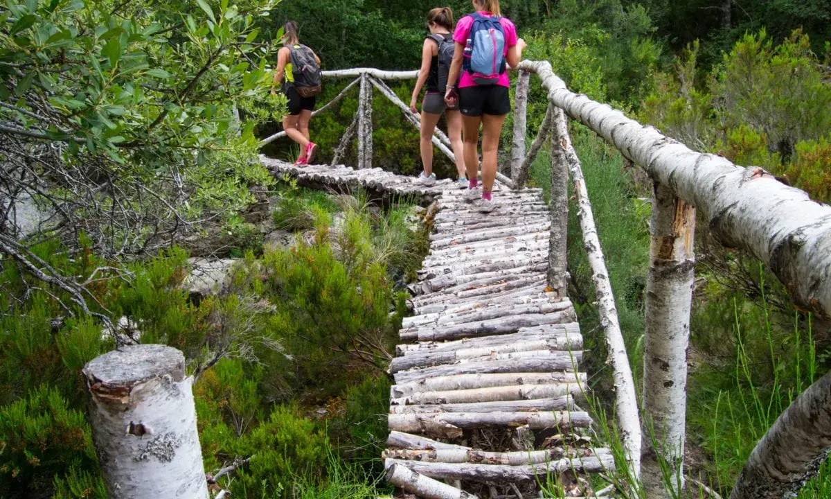 Tres mujeres disfrutan de las rutas senderismo Zamora, cruzando un puente rústico de madera entre vegetación frondosa.