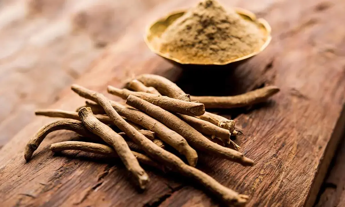 Ashwagandha-Wurzeln und Pulver auf Holz. Die Frage "wie schnell wirkt Ashwagandha" beschäftigt viele, die auf natürliche Unterstützung setzen.
