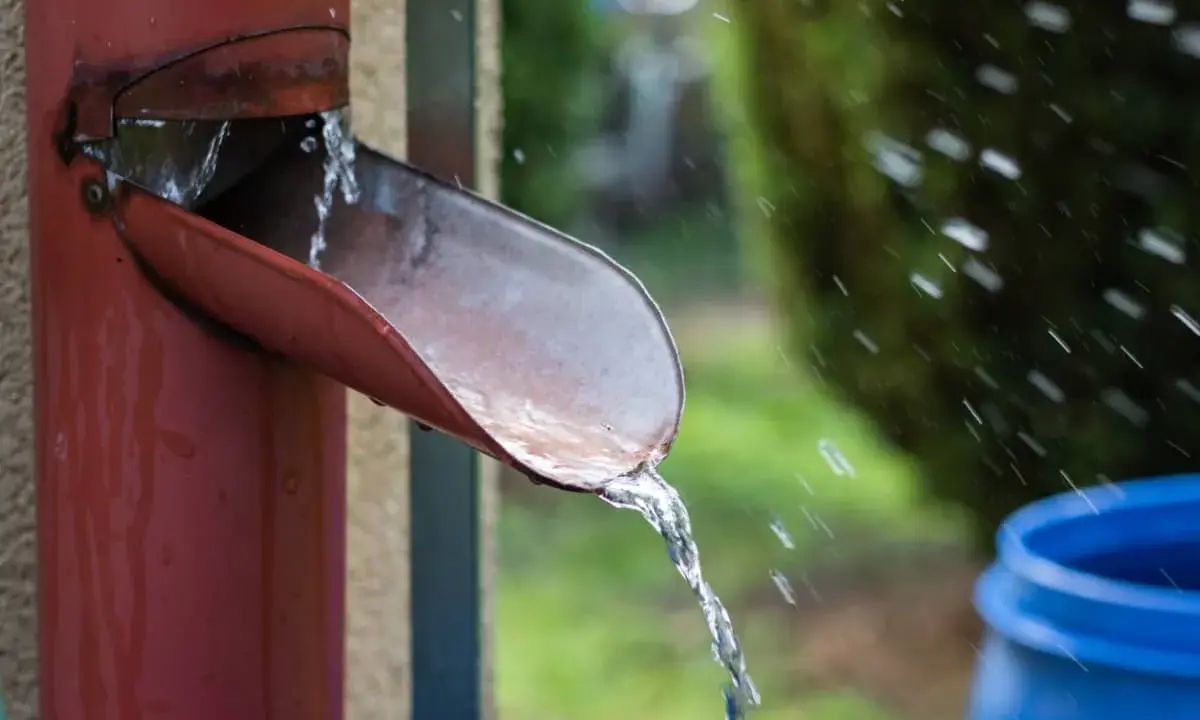 Agua de lluvia cayendo de una canaleta roja hacia un barril azul, una forma práctica de saber como recoger agua de lluvia en un terreno.
