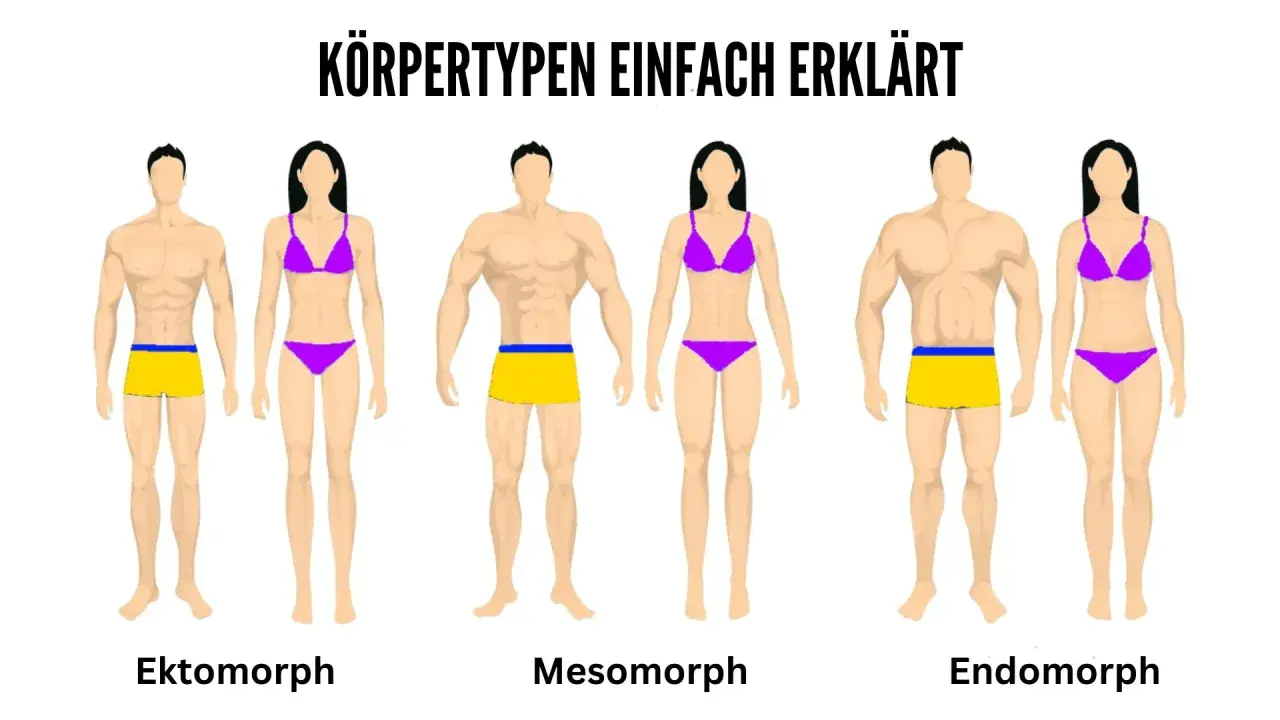 Körpertypen einfach erklärt: Ektomorph, Mesomorph und Endomorph. Die Frau im mittleren Paar ist ein Mesomorph, mit athletischem Körperbau.