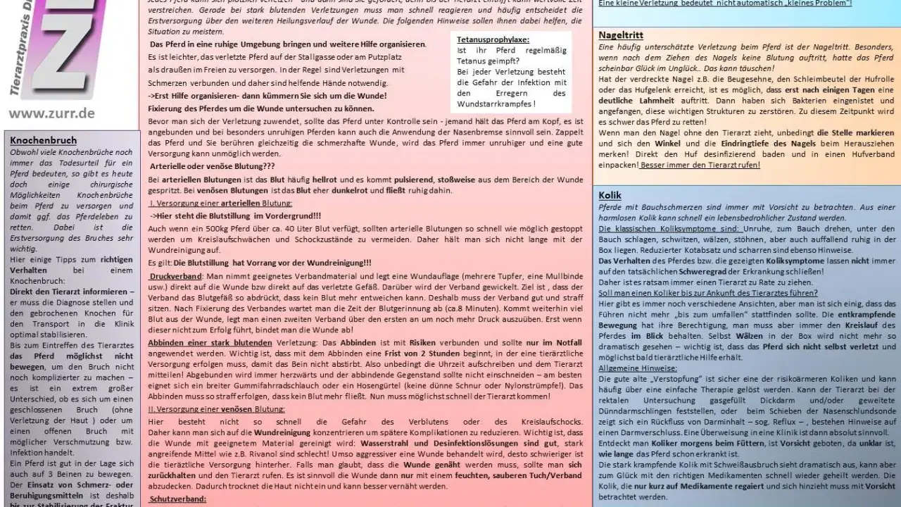 Erste Hilfe bei einem **unfall pferd**: Stark blutende Verletzungen erfordern schnelles Handeln. Hier Tipps zur Blutstillung und Wundversorgung.