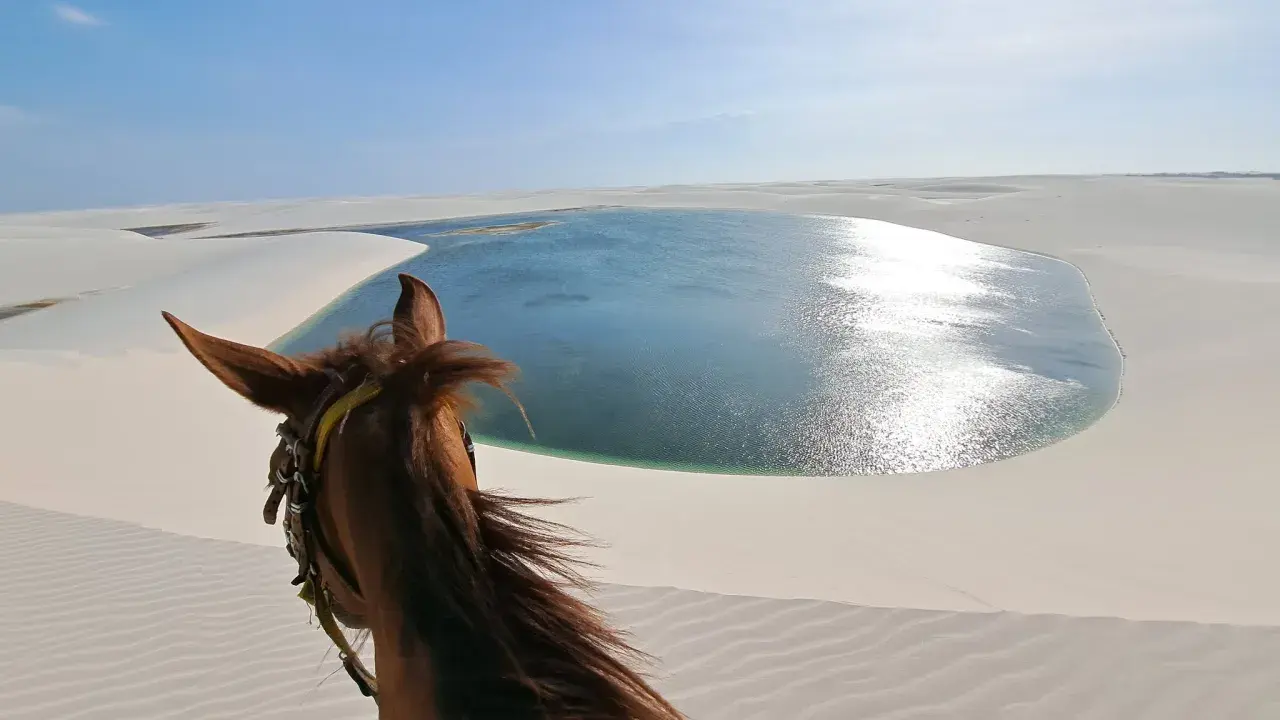 Pferd blickt auf eine glitzernde Lagune in den Lençóis Maranhenses. Sanddünen erstrecken sich bis zum Horizont.