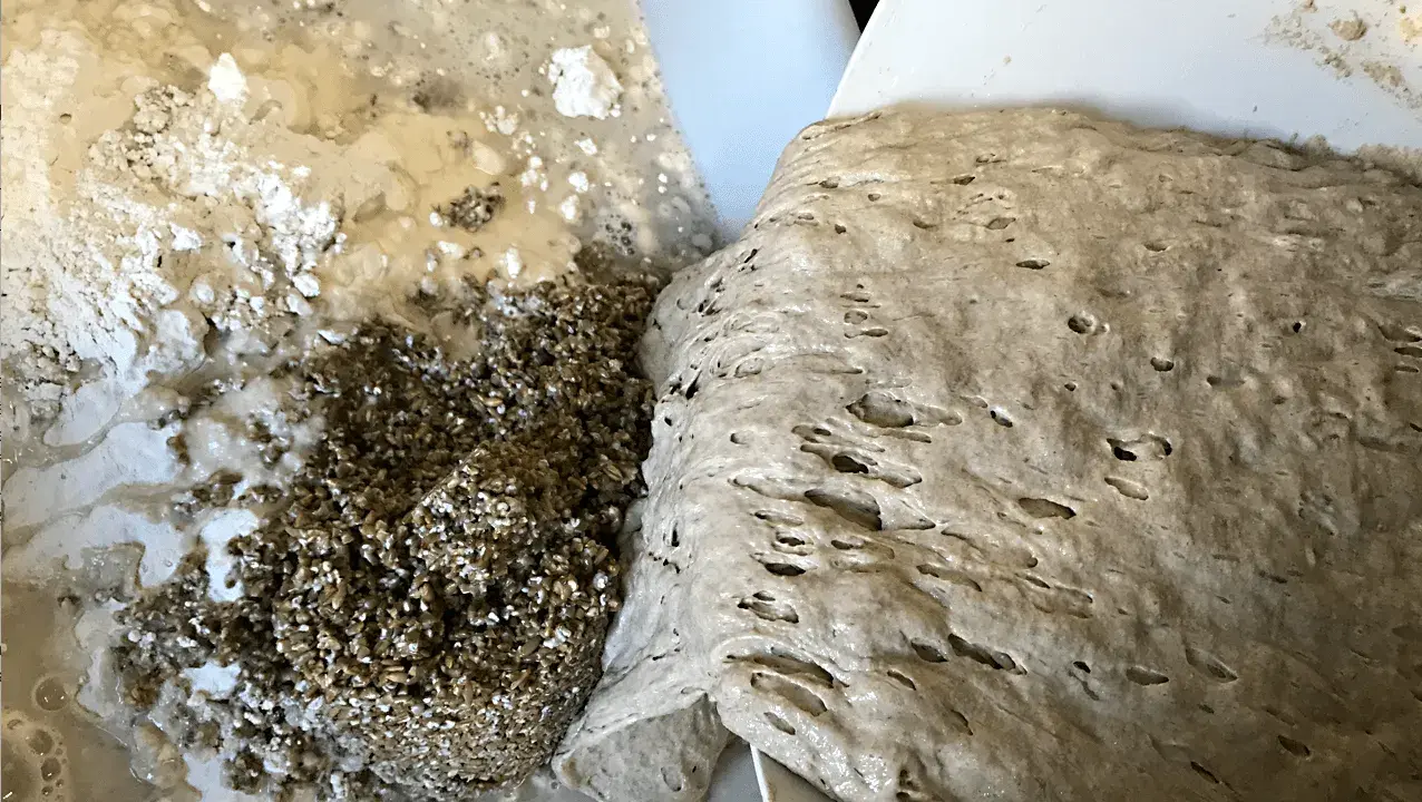 En närbild på surdeg som skiktar sig med bubblor och korn. En del av degen har en slätare yta, medan en annan del är mer kornig och blandad med mjöl och vatten.