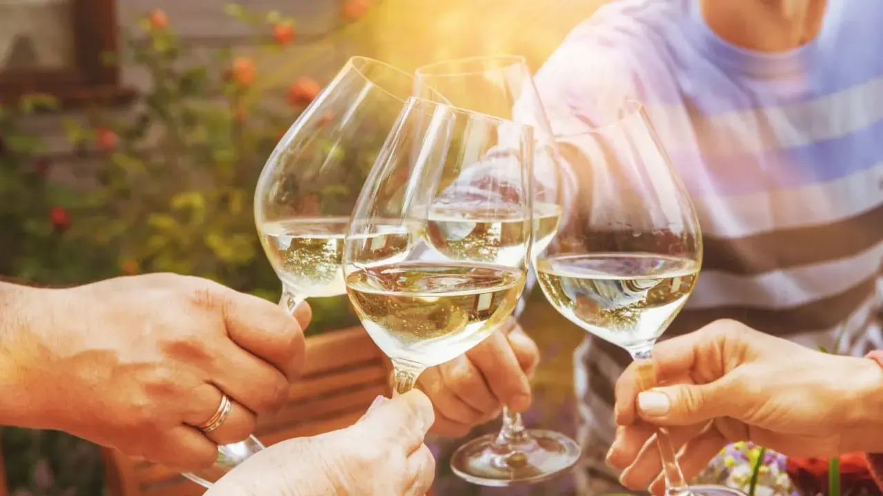 Ein fröhlicher weinabend mit freunden im Garten. Gläser mit Weißwein stoßen an, die Sonne scheint.