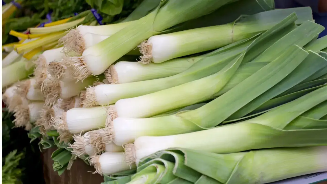 Un montón de puerros frescos, listos para deliciosas recetas con puerro. Sus tallos blancos y verdes prometen sabor.