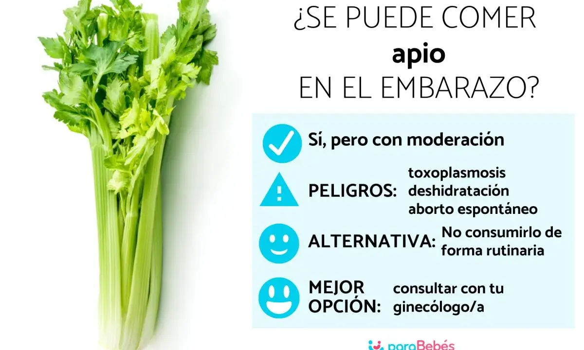 Un manojo de apio fresco junto a un texto que pregunta si se puede comer apio en el embarazo, con consejos y advertencias.