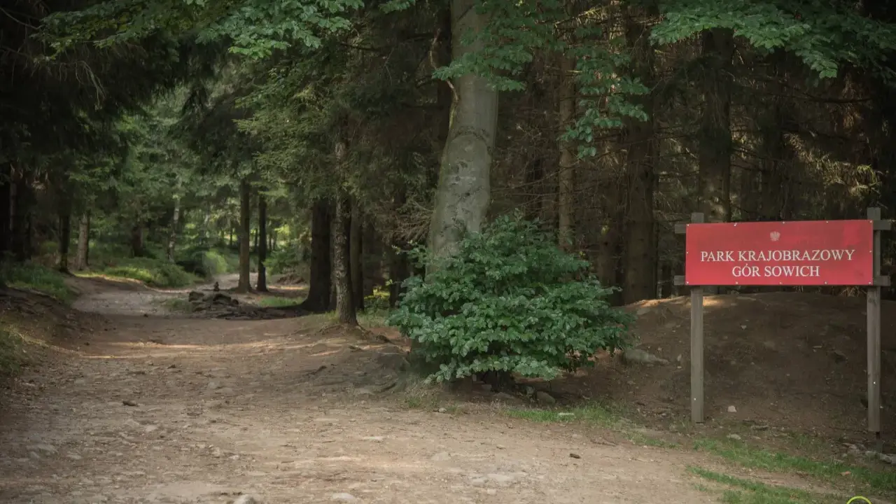 Leśna ścieżka w Parku Krajobrazowym Gór Sowich. Czerwony znak informuje o trasie.