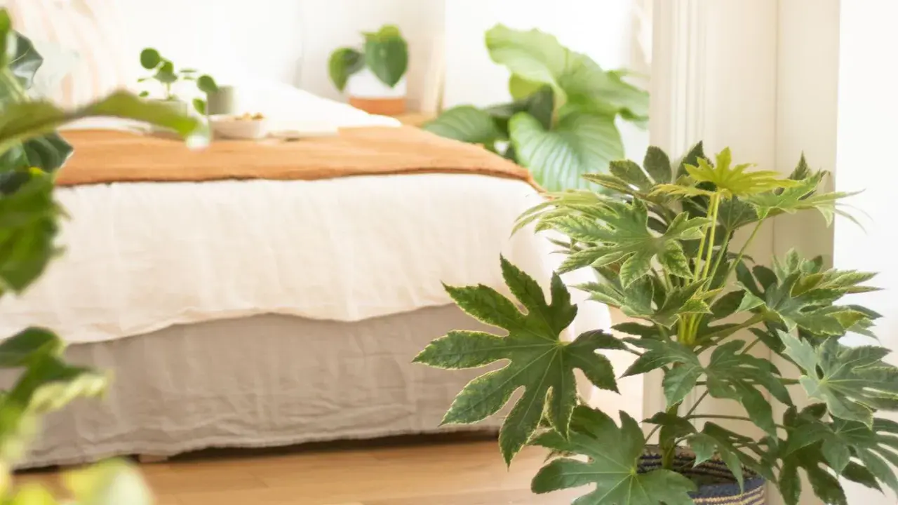 Grüne Zimmerpflanzen, die die Luft reinigen, schmücken ein Schlafzimmer mit einem Bett und einer Decke in warmen Erdtönen.