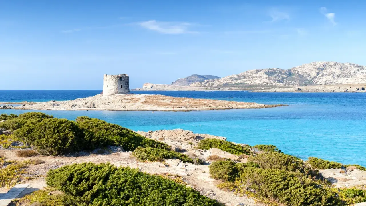 Torre aragonese su isolotto roccioso, mare turchese e macchia mediterranea. Alghero la Pelosa distanza, un sogno sardo.