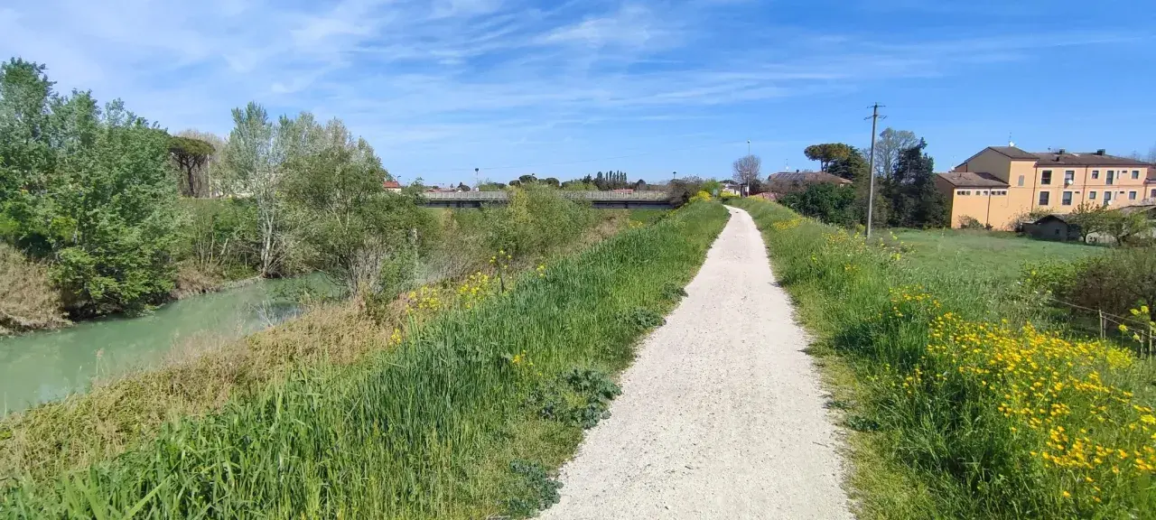 Sentiero ghiaioso della ciclovia del Savio, fiancheggiato da erba verde e fiori gialli, con un fiume sulla sinistra e case in lontananza.