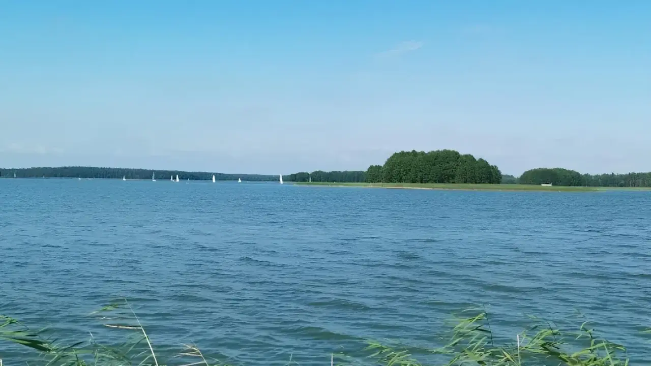 Spokojne jezioro Jagodne, gdzie żaglówki suną po wodzie, a w głębinach czają się ryby.