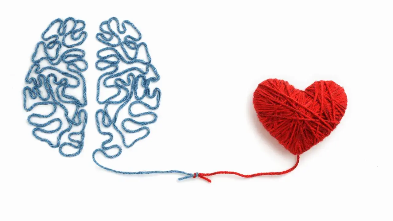 Cervello di filo blu collegato a un cuore di filo rosso. Un elenco di sentimenti ed emozioni che uniscono mente e cuore.