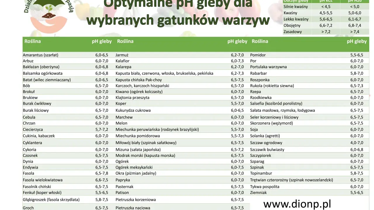 Tabela optymalnego pH gleby dla wybranych gatunków warzyw. Znajdziesz tu informacje o tym, jakie pH gleby jest najlepsze dla Twoich roślin.