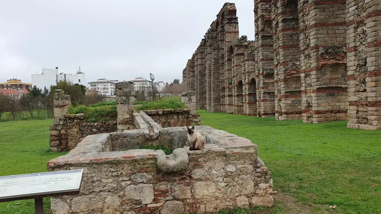 Eine Katze sitzt auf alten Steinen vor dem römischen Aquädukt von **Mérida, Spanien**.