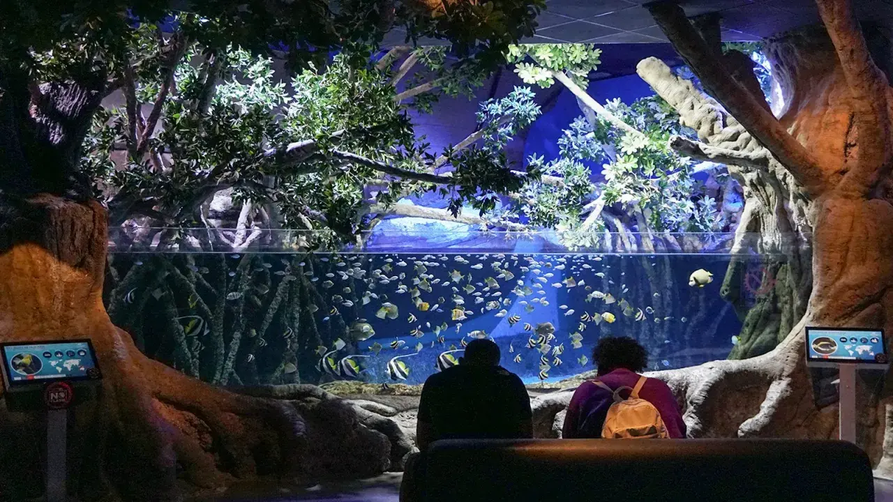 Besucher bestaunen im Aquarium Sevilla eine Welt voller bunter Fische, umgeben von üppiger Vegetation und beeindruckenden Baumstämmen.