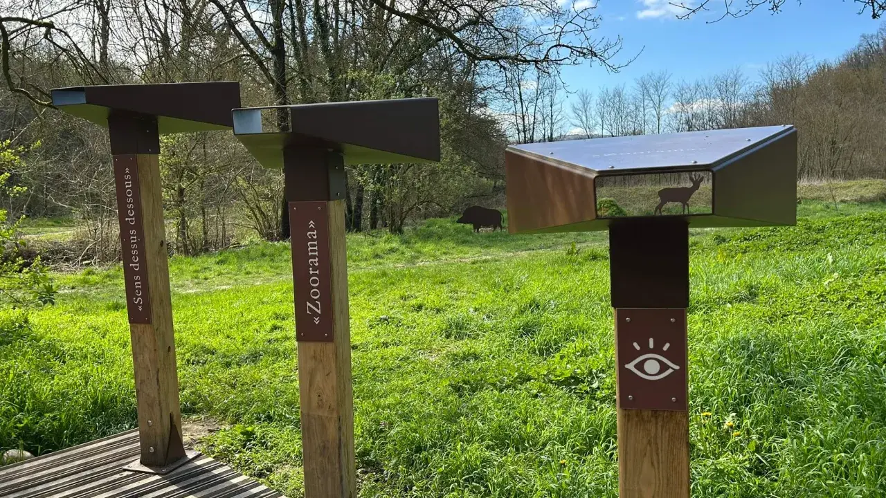 Des jumelles d'observation dans un parc, une affiche "Sens dessus dessous" et une autre "Zoorama". Un cerf et un sanglier sont visibles dans le paysage.