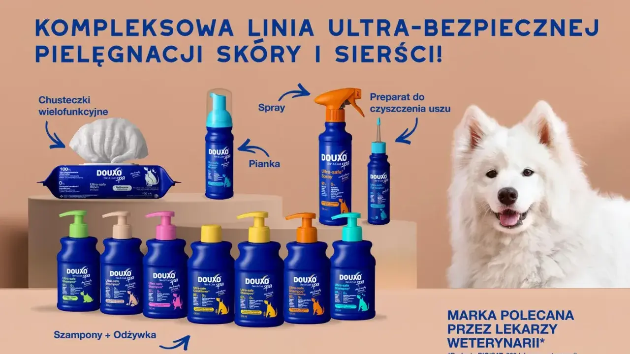W czym wykąpać psa? Douxo oferuje szampony, odżywki, pianki i spraye do kompleksowej pielęgnacji sierści.