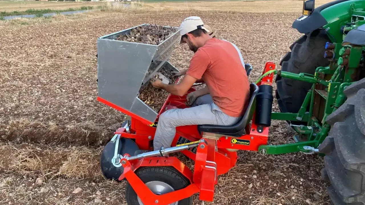Un agriculteur utilise une machine pour planter des bulbes de safran. C'est le bon moment pour savoir quand arracher les bulbes de safran.